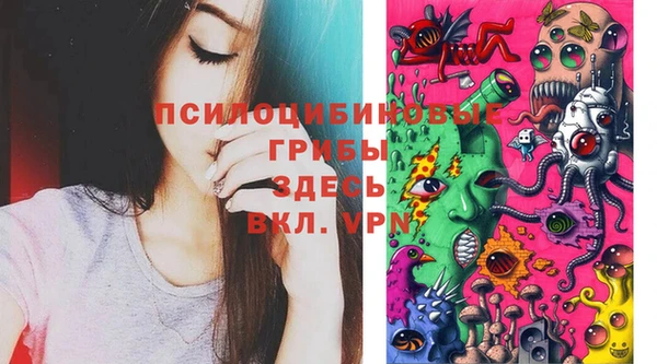 дурь Аркадак