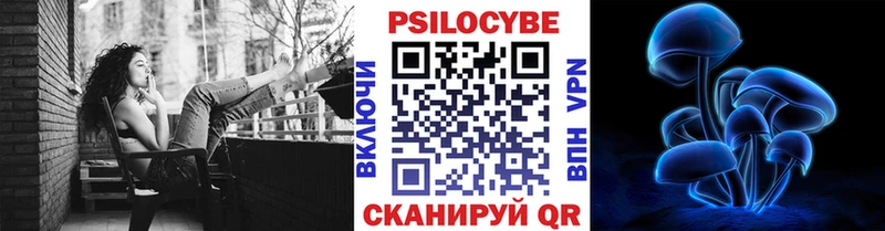 мориарти как зайти  Динская  Псилоцибиновые грибы Psilocybine cubensis 